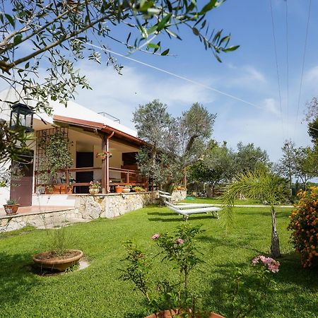 Casa Vacanza Russo Fernando Alimini Exteriör bild