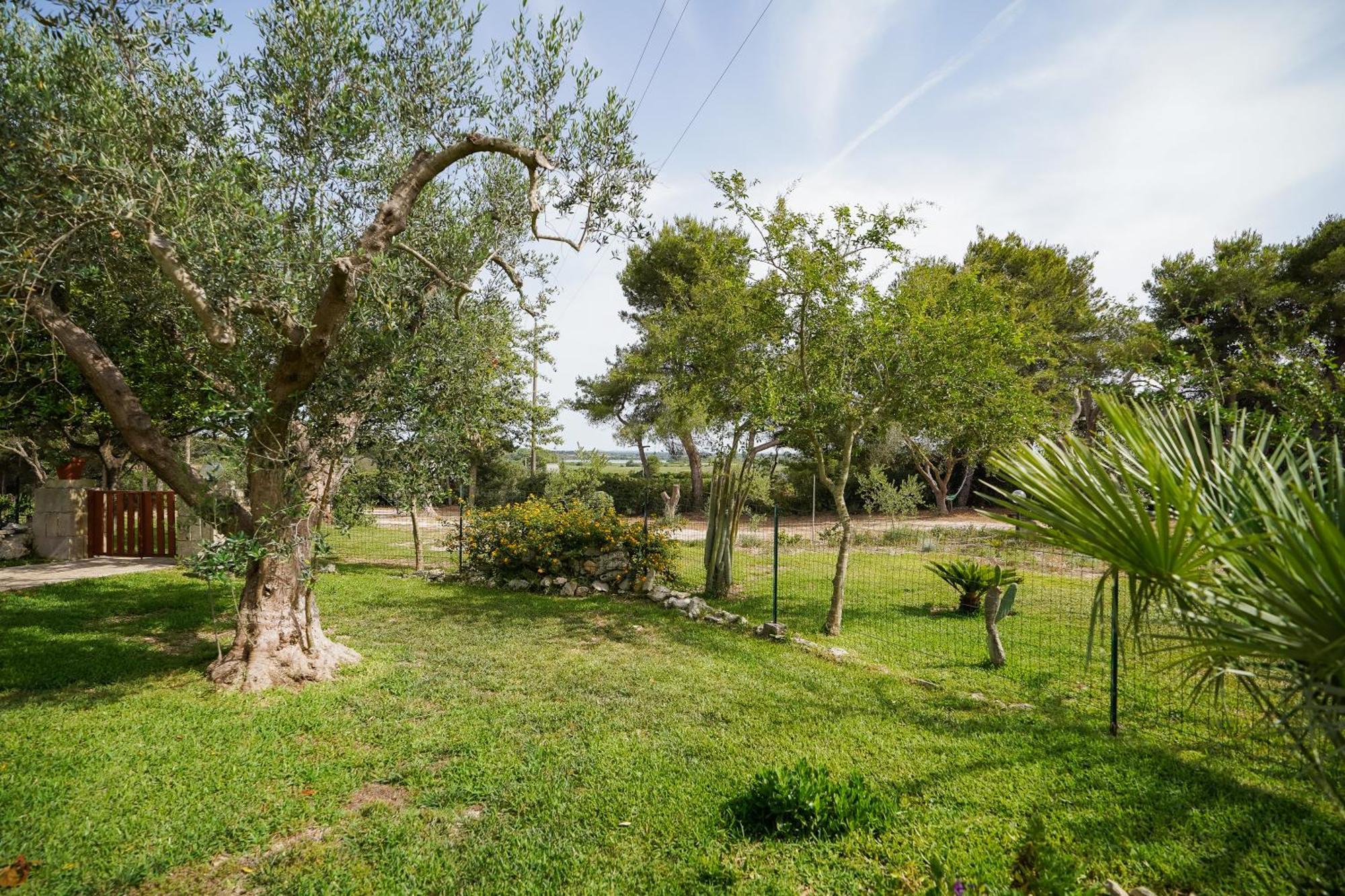 Casa Vacanza Russo Fernando Alimini Exteriör bild
